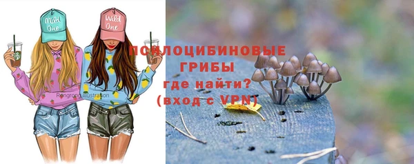 стаф Алексин