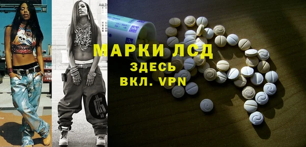 стаф Алексин