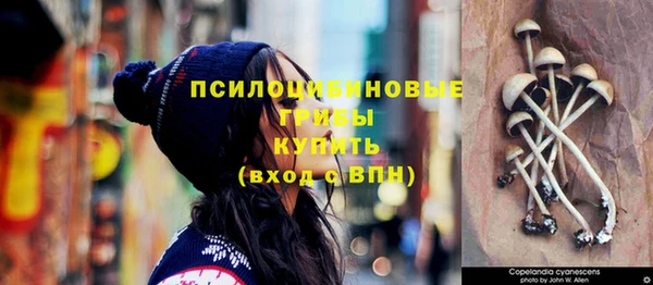 тгк Абинск